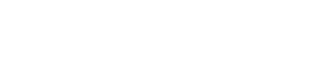 The Verge